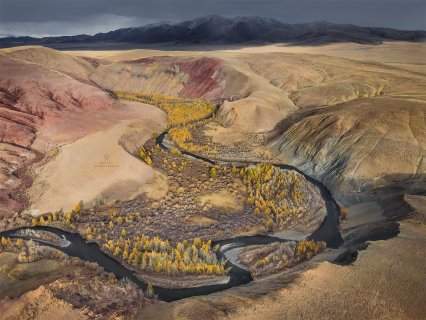 Кокоря - Купрацевич Дмитрий Григорьевич
