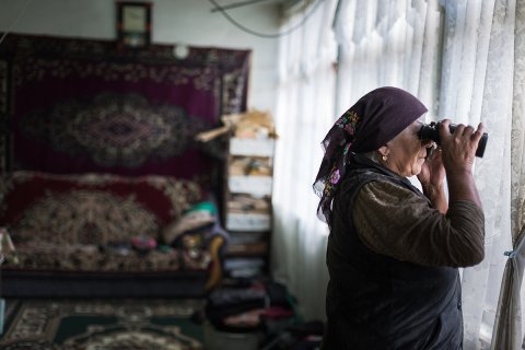 В поисках коровы - Терентьев Алексей Викторович