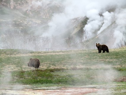 На лугу пасутся... - Луговец Викторя Владимировна