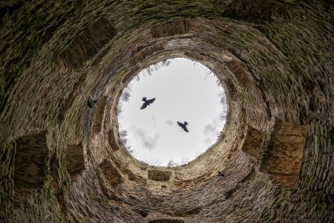 Черный ворон, что ж ты вьешься... - Гусев Евгений Викторович