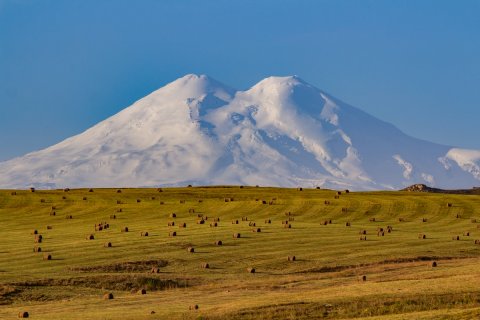 Заготовка сена - Фролов Александр Валерьевич
