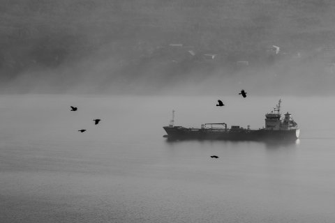 Туман - Черкасова Елизавета Матвеевна