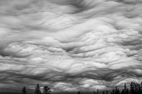 Суровое, северное - Никольская Яна Вячеславовна