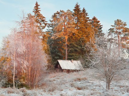 Избушка - Косых Петр Николаевич