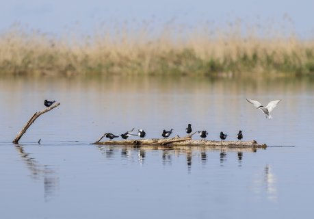 Чужой среди своих - Лукьянчиков Андрей Игоревич