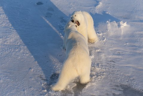 Это любовь - Паршин Андрей Сергеевич