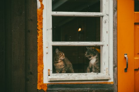 Старший ругает младшего - Державин Александр Владимирович