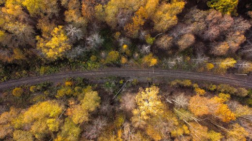 Золотая осень - Коротков Алексей Игоревич