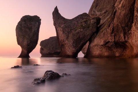 Курица и бутылка - Скляров Игорь