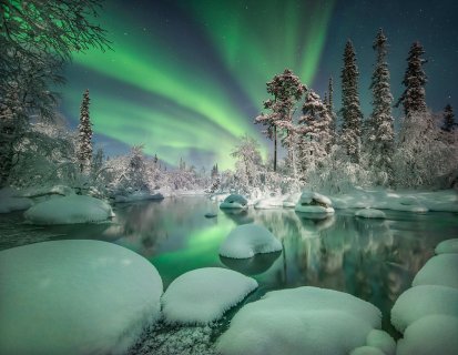 Сказочный лес - Ермолина Елена Александровна