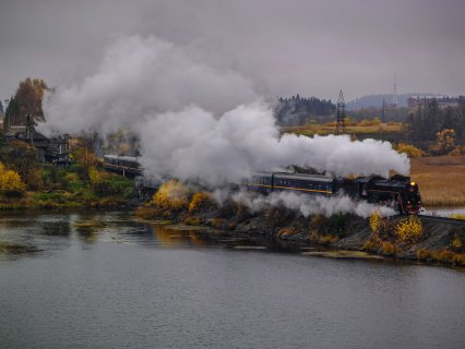 Хогвартс Экспресс  - Державин Александр Владимирович