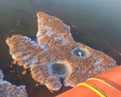 Заяц серый, заяц белый, заяц рыжий - Зебзеева Олеся Григорьевна