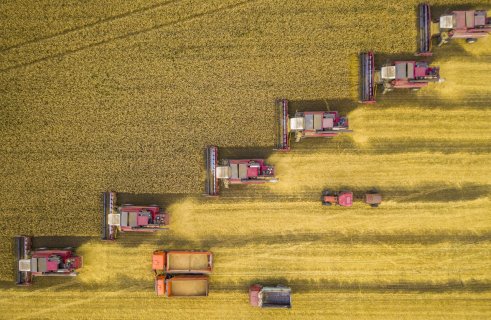 Битва за урожай - Кляхин Игорь Николаевич