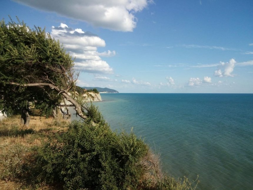 Лето, ах лето! - Полина