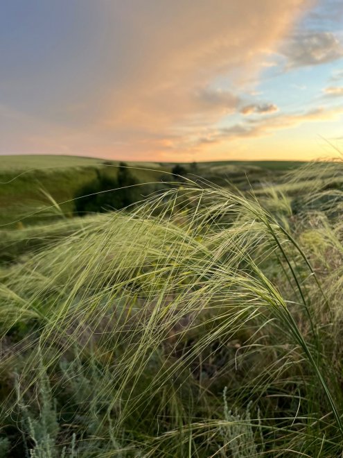 Звук ветра! -  