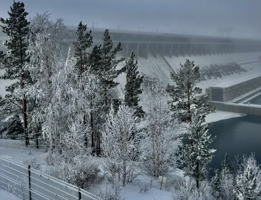 Деревья на ГЭС - Татьяна Сахаровская
