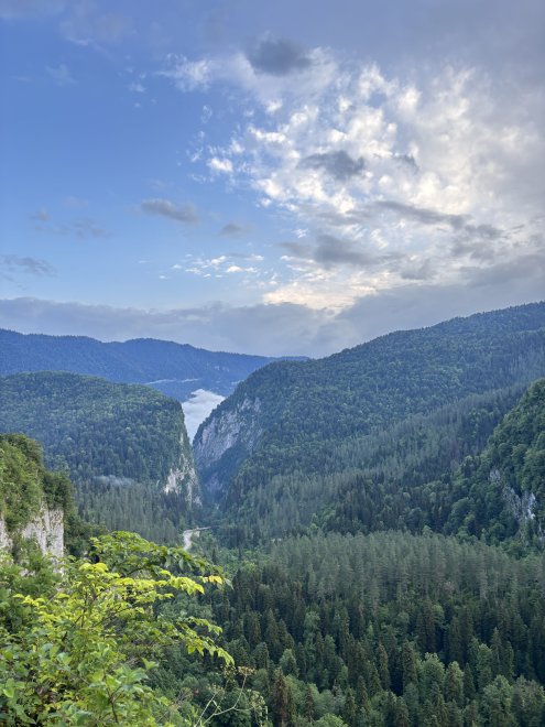 Где-то чуть выше облаков -  