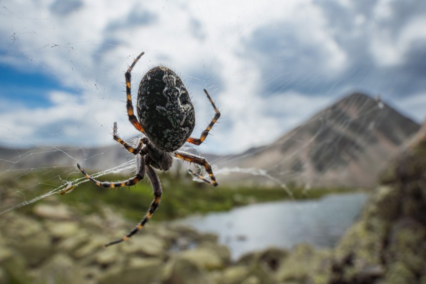 В гостях у горного короля - Денис