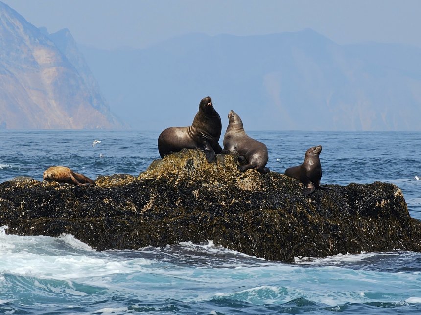 Хорошо сидим -  