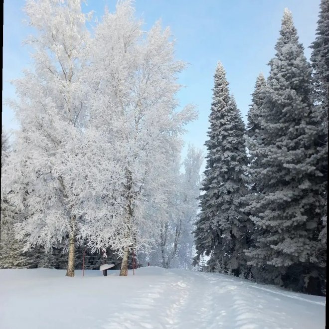 Зимний сон - Яковлева Ирина Александровна