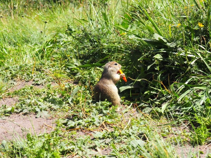 За трапезой! - Татьяна