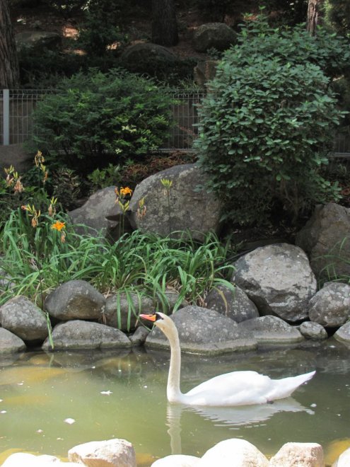 Тихая красота -  