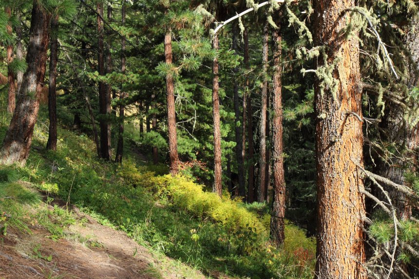 Смена времён года за 12 дней похода - Андрей Григоров (1/8)