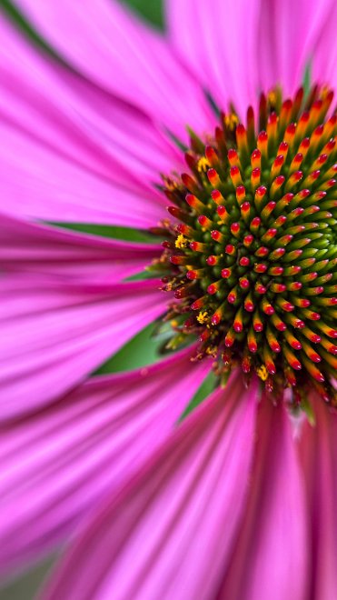 Погружение в глубинную текстуру - Тина