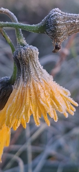 Дыхание осени - Наталия