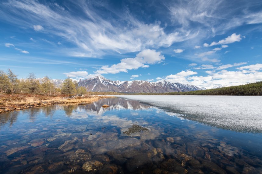 Зима уходит в горы - Наталья Радзиховская