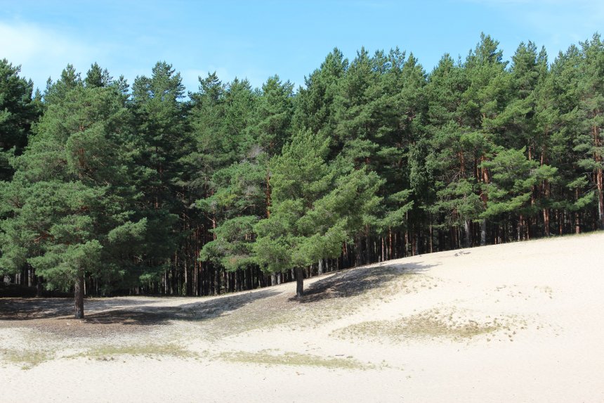 Слияние тишины - Алина