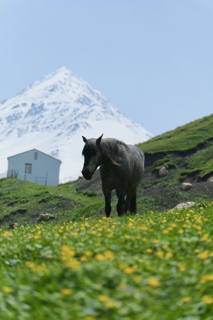 Горная прогулка - Алина Кадырова
