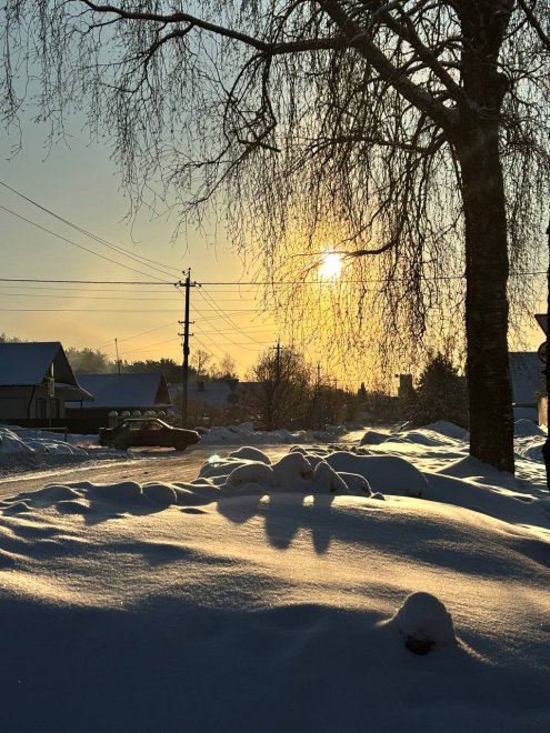 Золото зимы - Вероника Попова