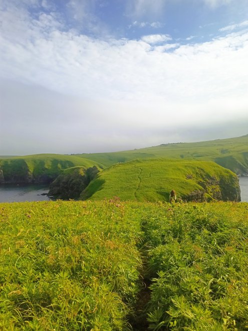 Долгая дорога на Край Света - Дина (1/8)