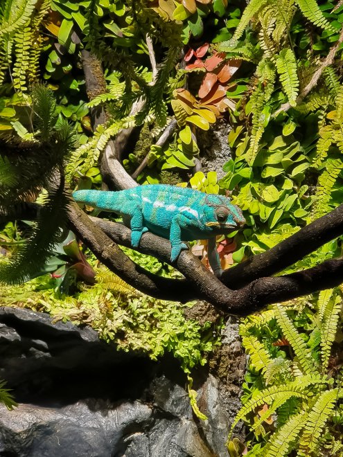 Яркость - Анна