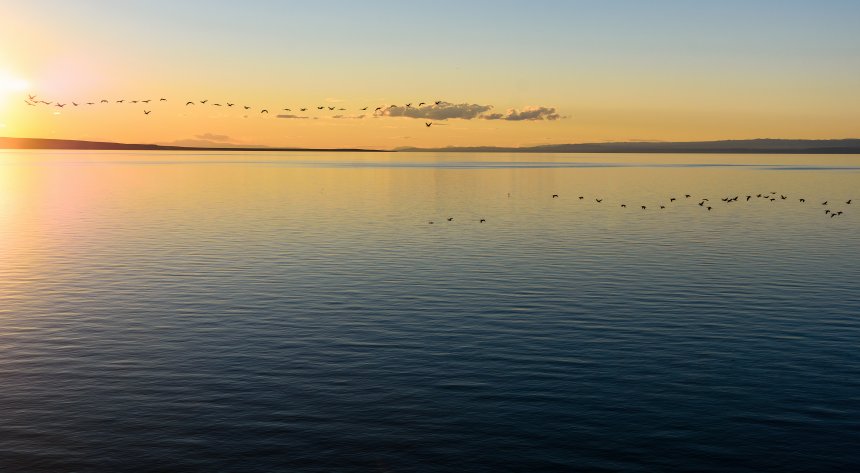 На озере Хяргас - Галина Белецкая (1/8)