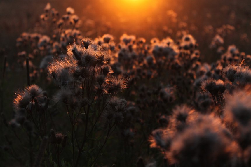 Золотое дыхание - Ксения