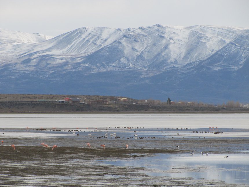 Умиротворение - Ольга Соколова