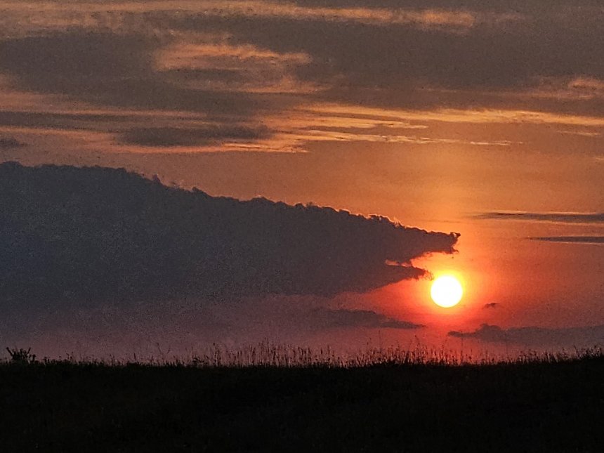 Краденое солнце -  