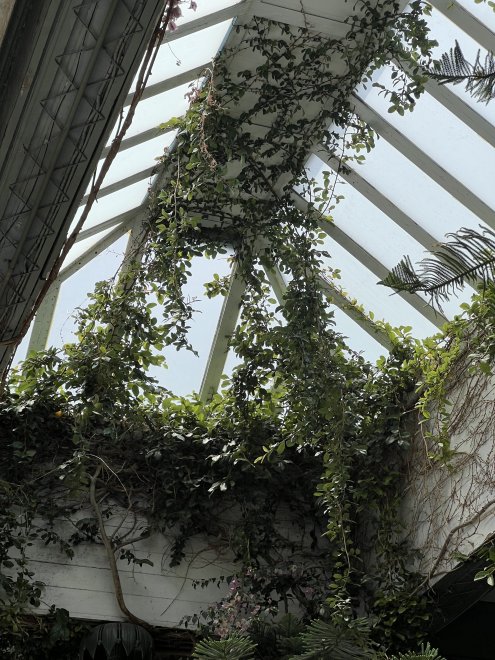 Воронцовского дворца. -   (1/8)