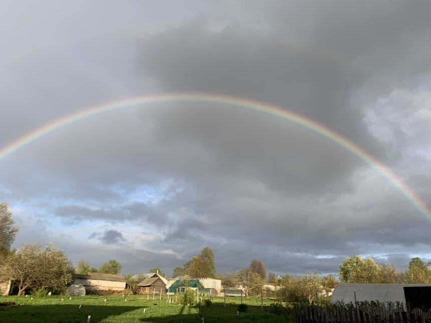 После дождя - Лоцманова Галина Вячеславовна