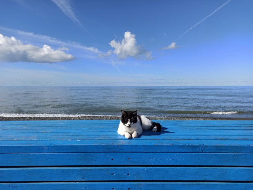 Морской Сфинкс - Елена