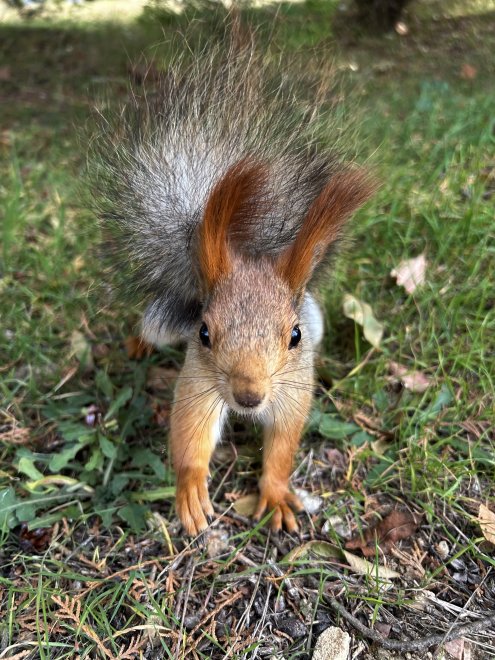 Взгляд в самое сердце - Карина