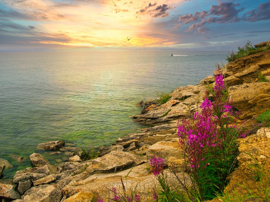 на закате - Алексей