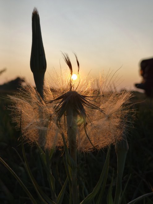 Волшебство заката - Анастасия Николаева