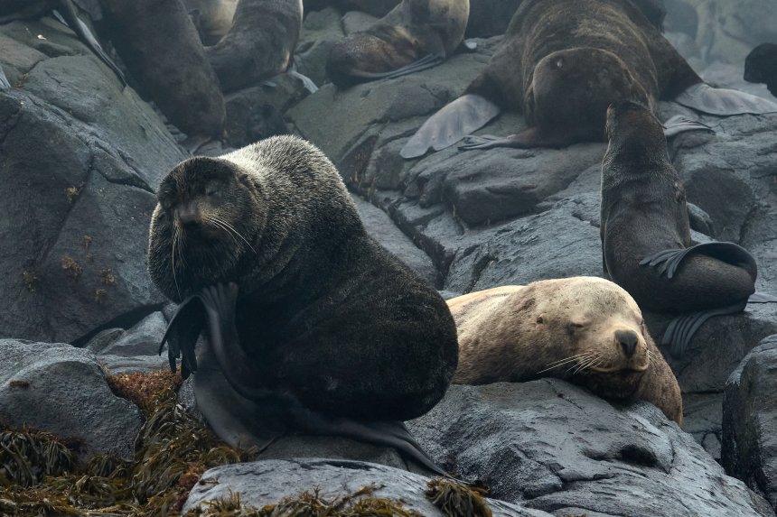 Старые друзья - Владимир