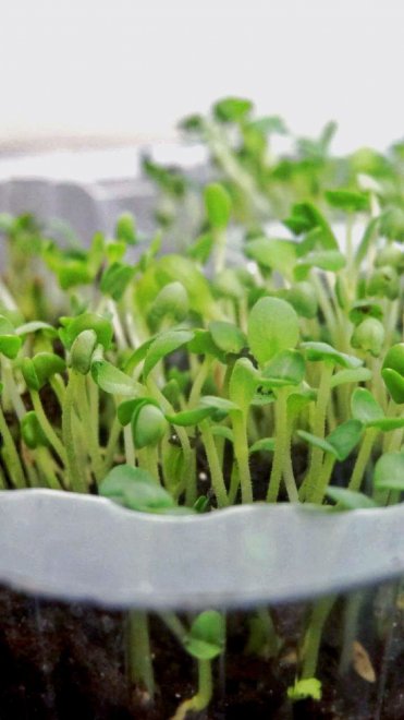 Начало нового пути - Даша