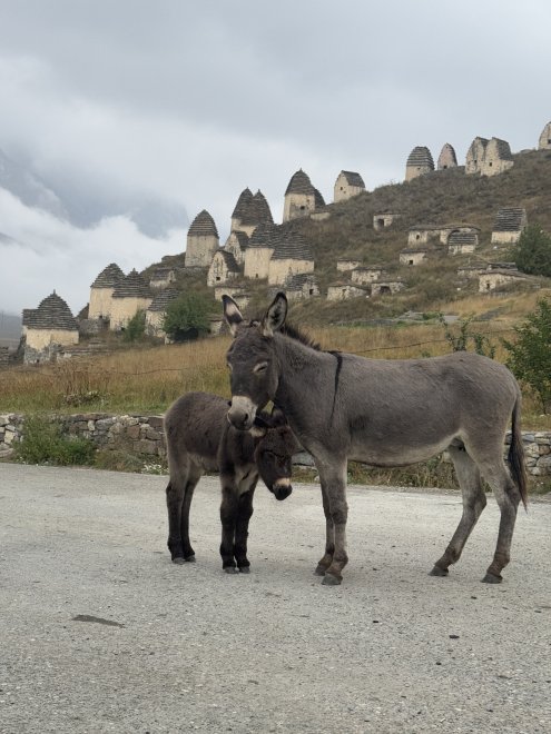 Хранительница жизни в долине вечности - Маргарита