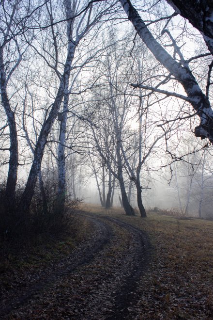 Последний плач по теплу - Елизавета