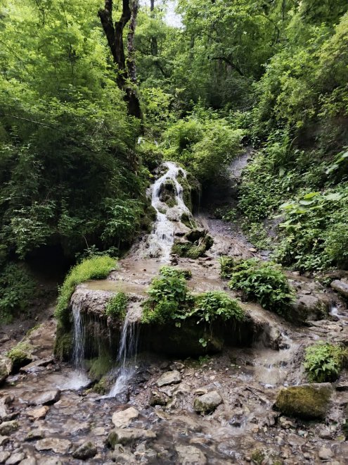 путешествие в Баракаевскую - Татьяна (1/8)